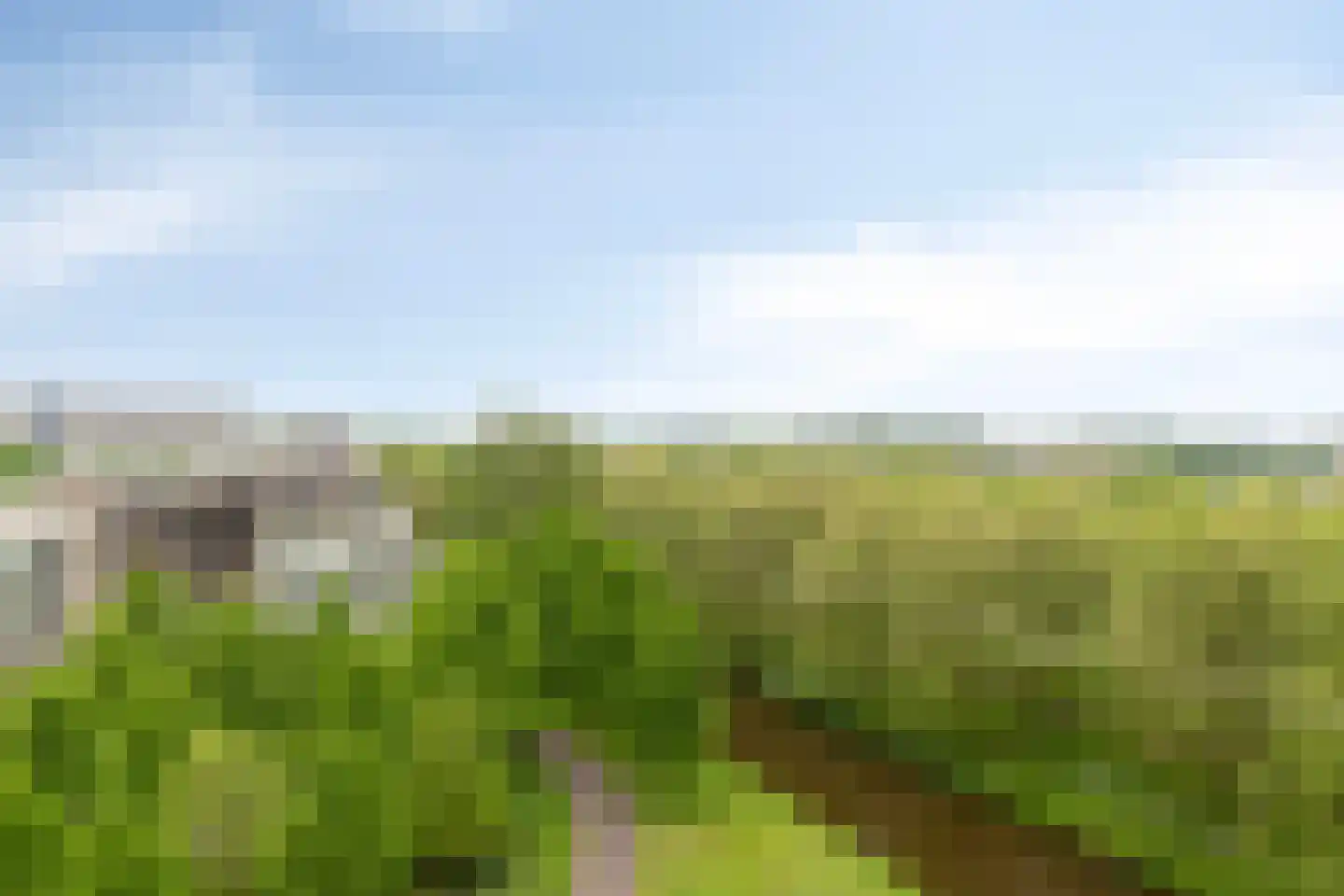 Ien Daleshof 28 Rotterdam thumbnail 39
