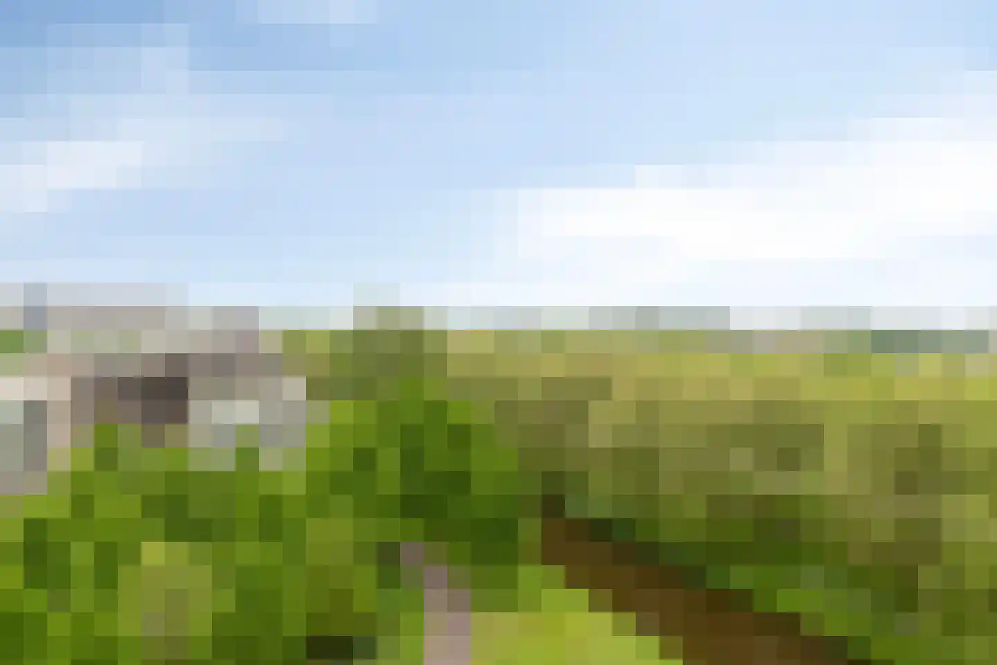 Ien Daleshof 28 Rotterdam thumbnail 40