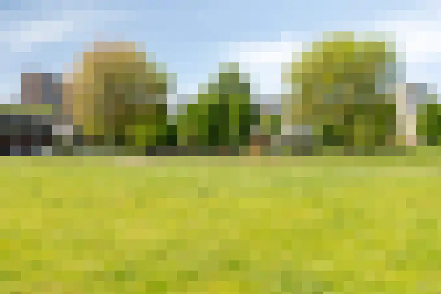 Ien Daleshof 28 Rotterdam thumbnail 44