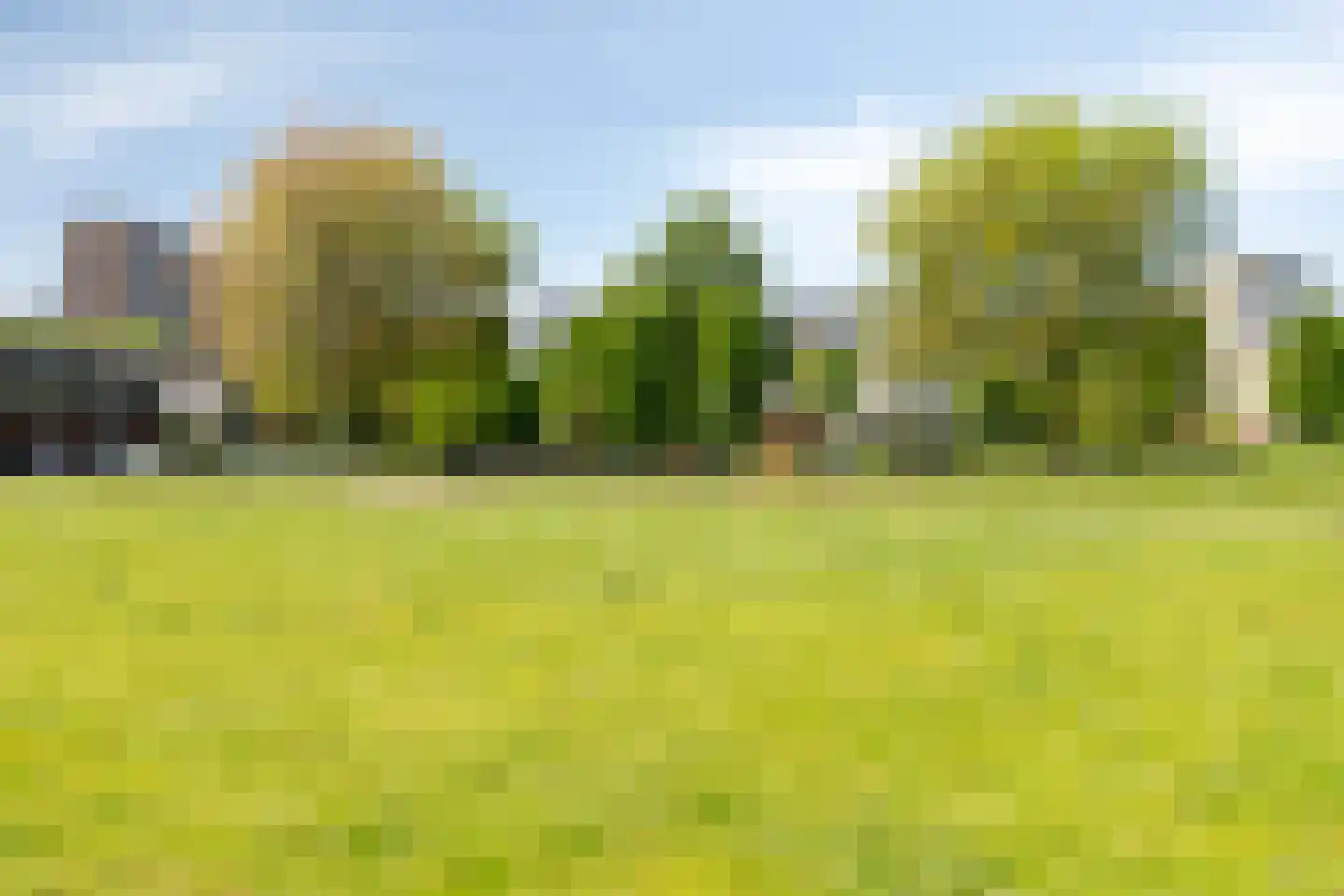 Ien Daleshof 28 Rotterdam thumbnail 45