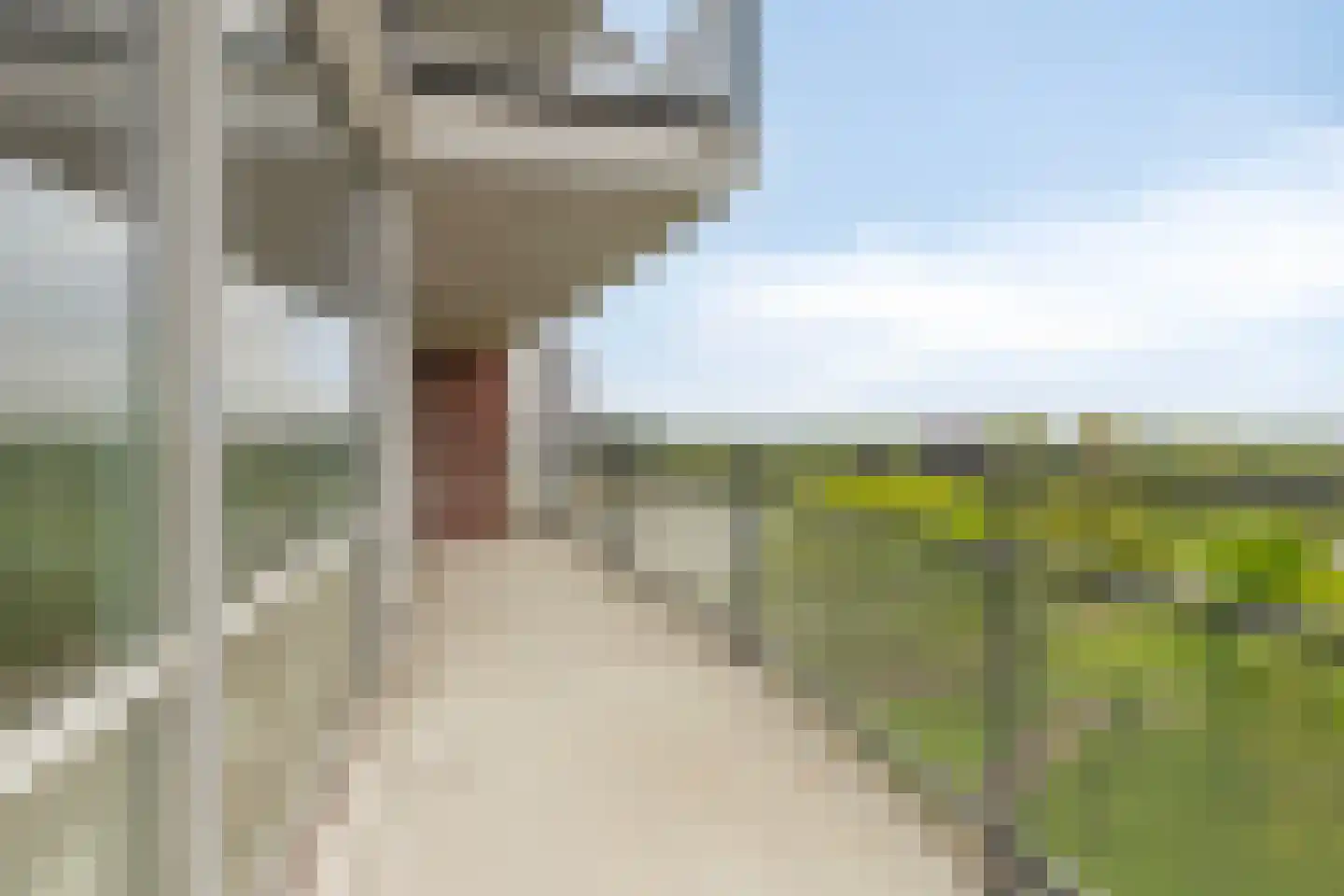 Ien Daleshof 28 Rotterdam thumbnail 6