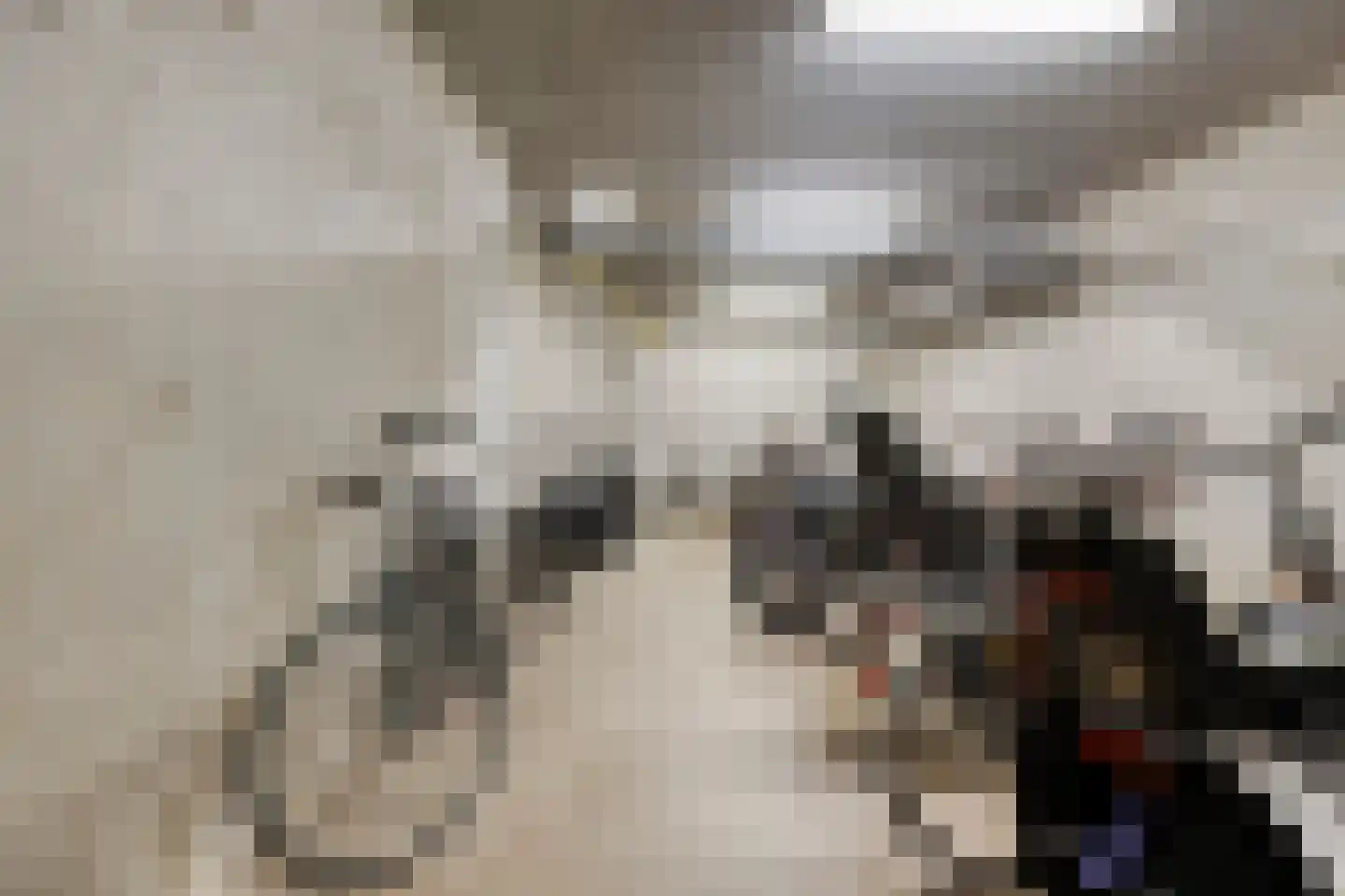 Ien Daleshof 31 Rotterdam thumbnail 31