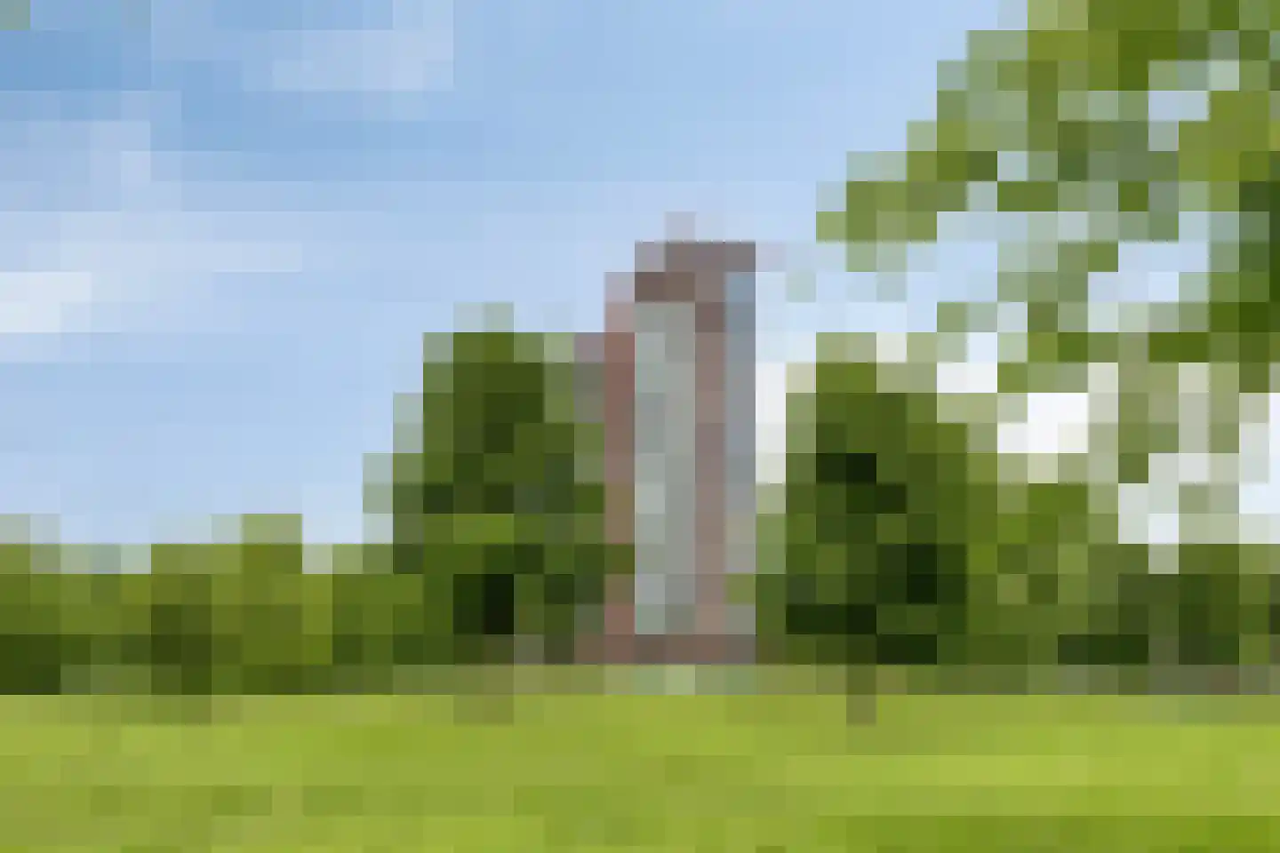 Ien Daleshof 31 Rotterdam thumbnail 33