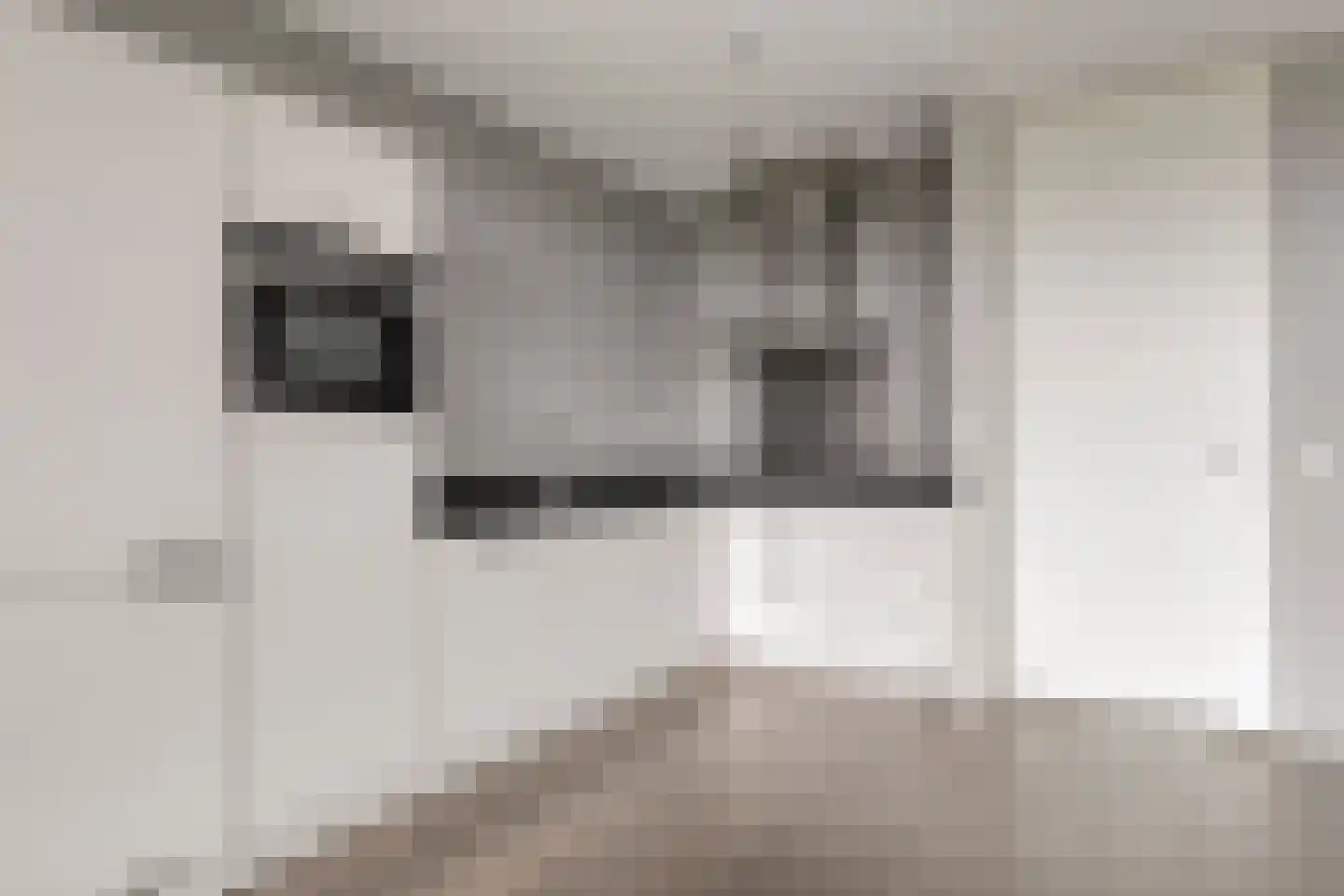 Ien Daleshof 31 Rotterdam thumbnail 9