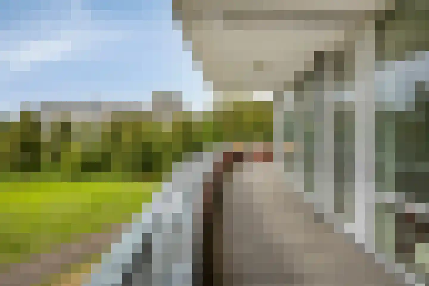 Ien Daleshof 4 Rotterdam thumbnail 11