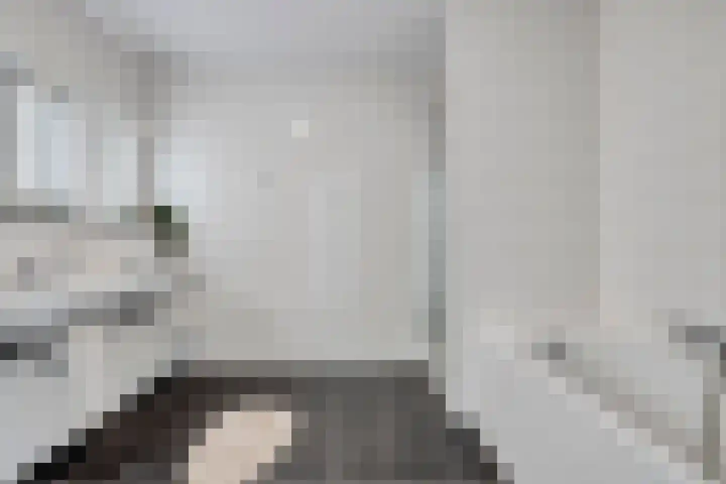 Ien Daleshof 4 Rotterdam thumbnail 23