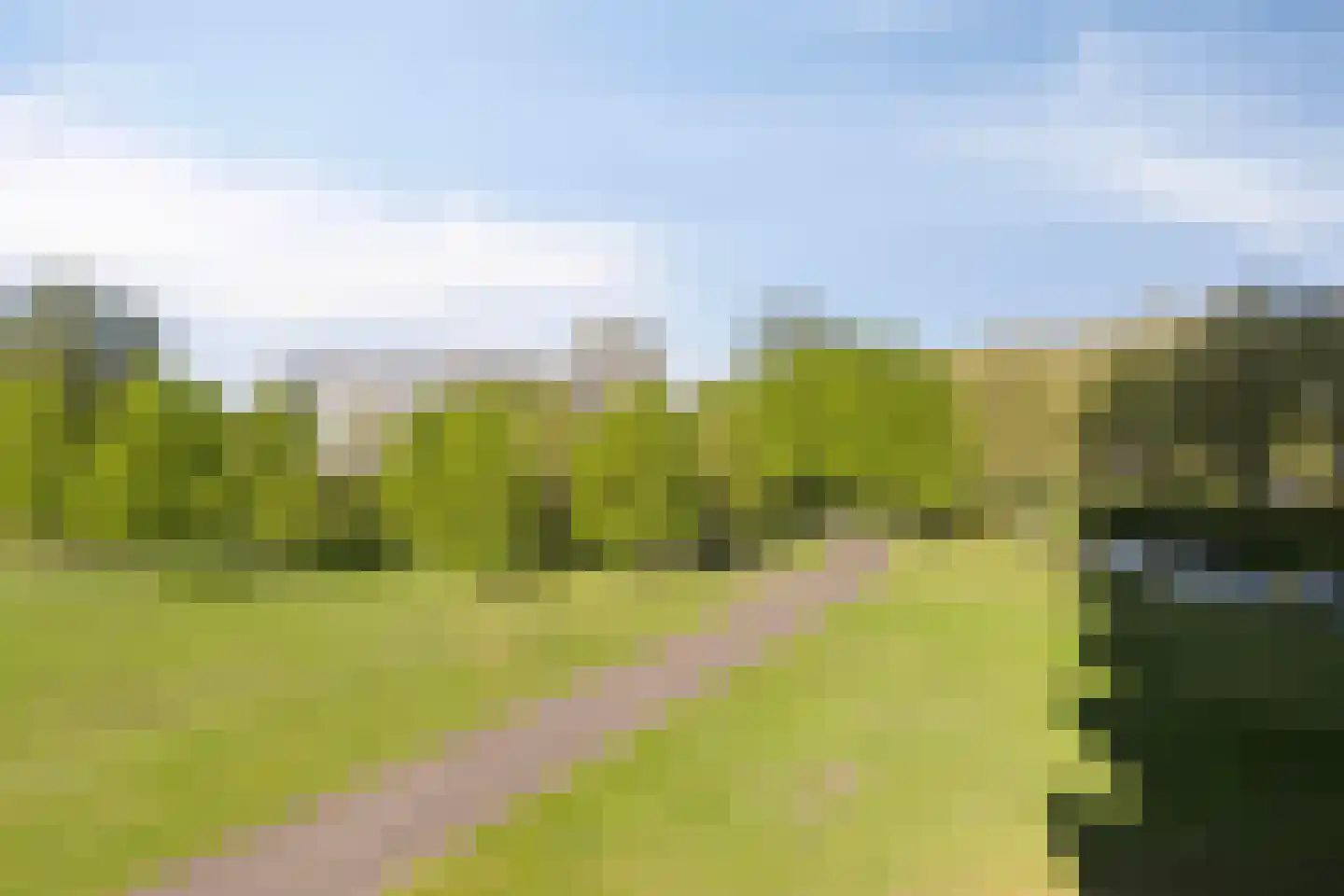 Ien Daleshof 4 Rotterdam thumbnail 35