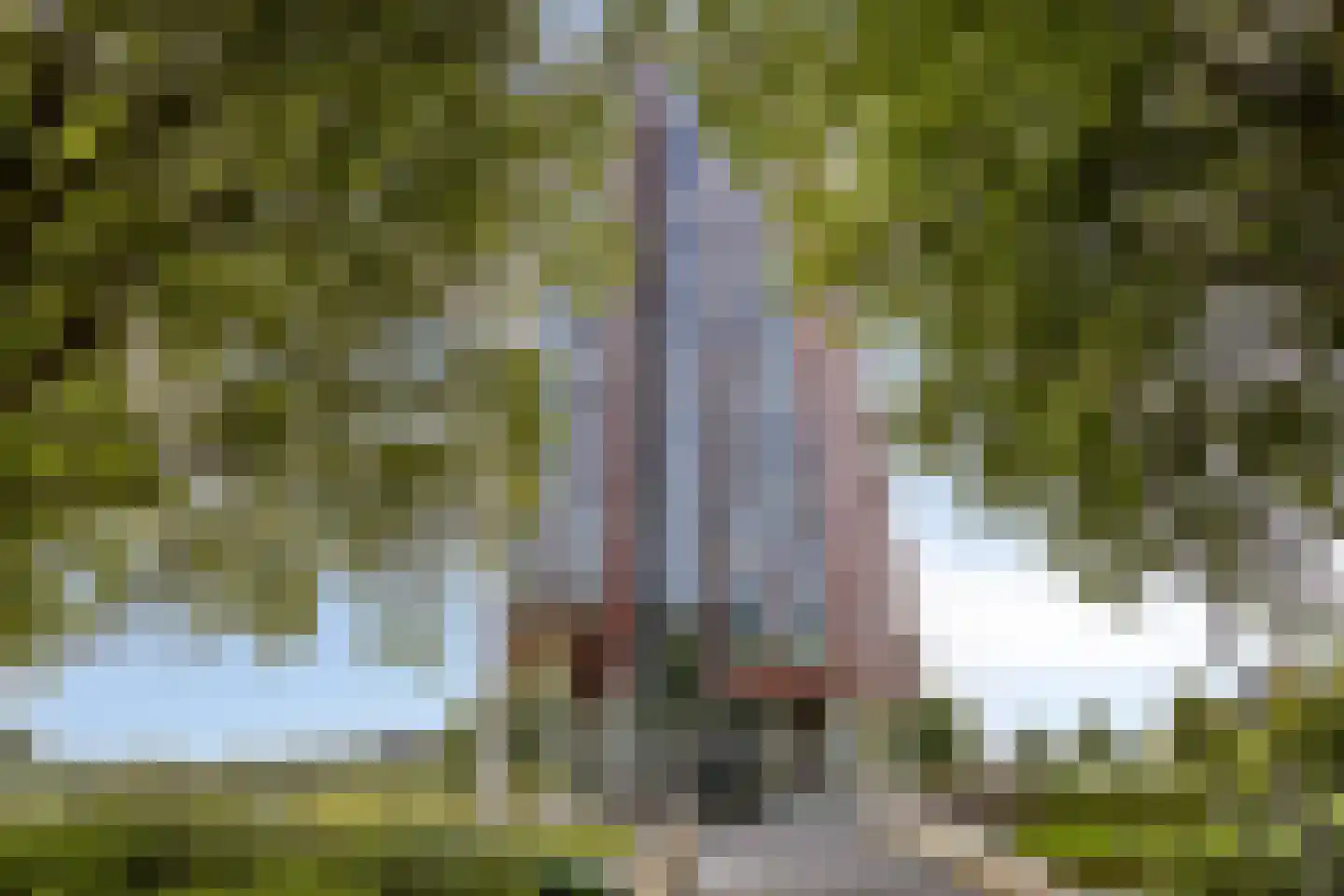 Ien Daleshof 4 Rotterdam thumbnail 37
