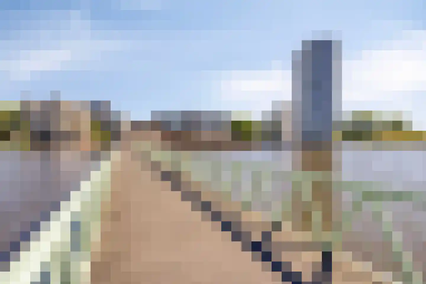 Ien Daleshof 4 Rotterdam thumbnail 37