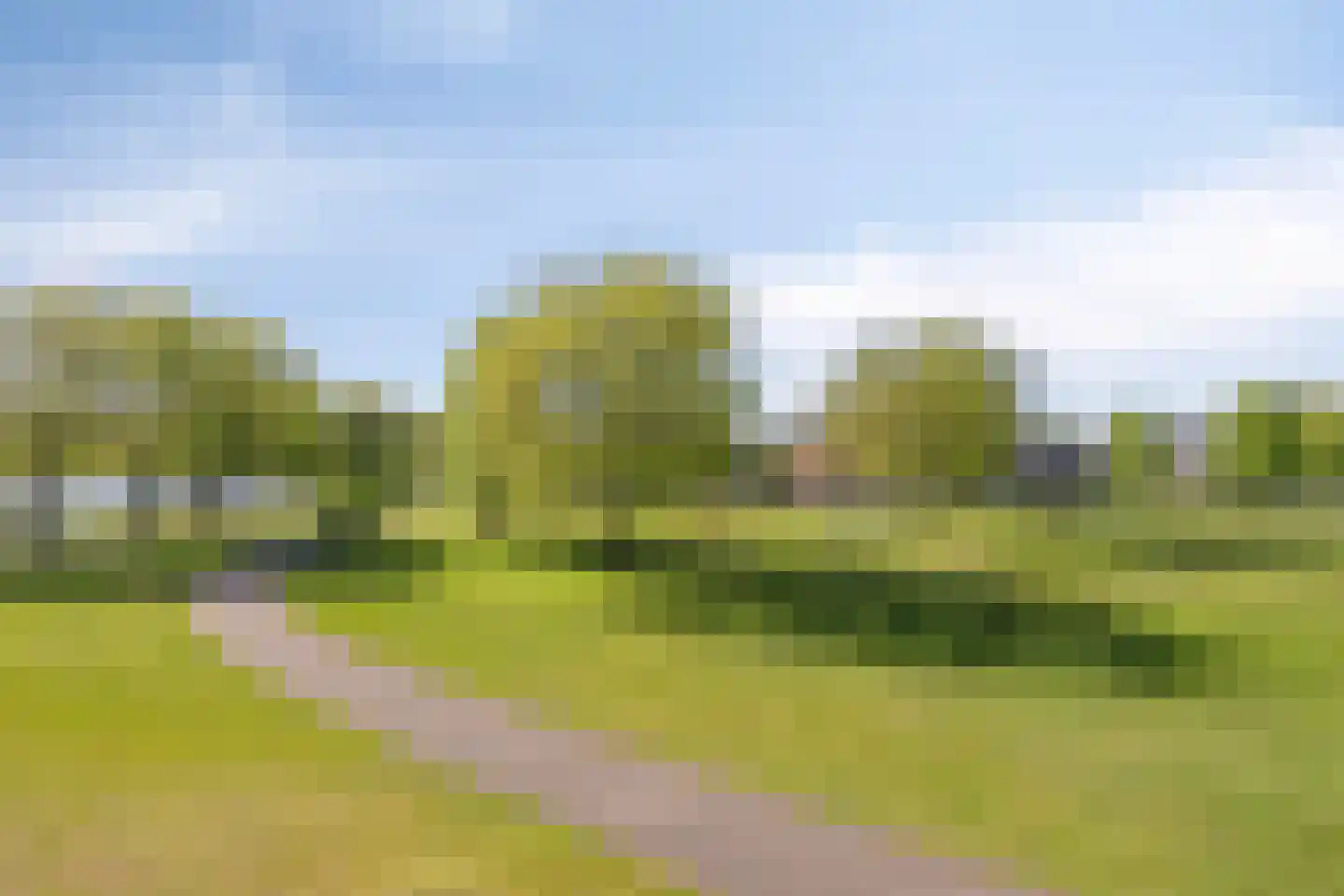 Ien Daleshof 4 Rotterdam thumbnail 4