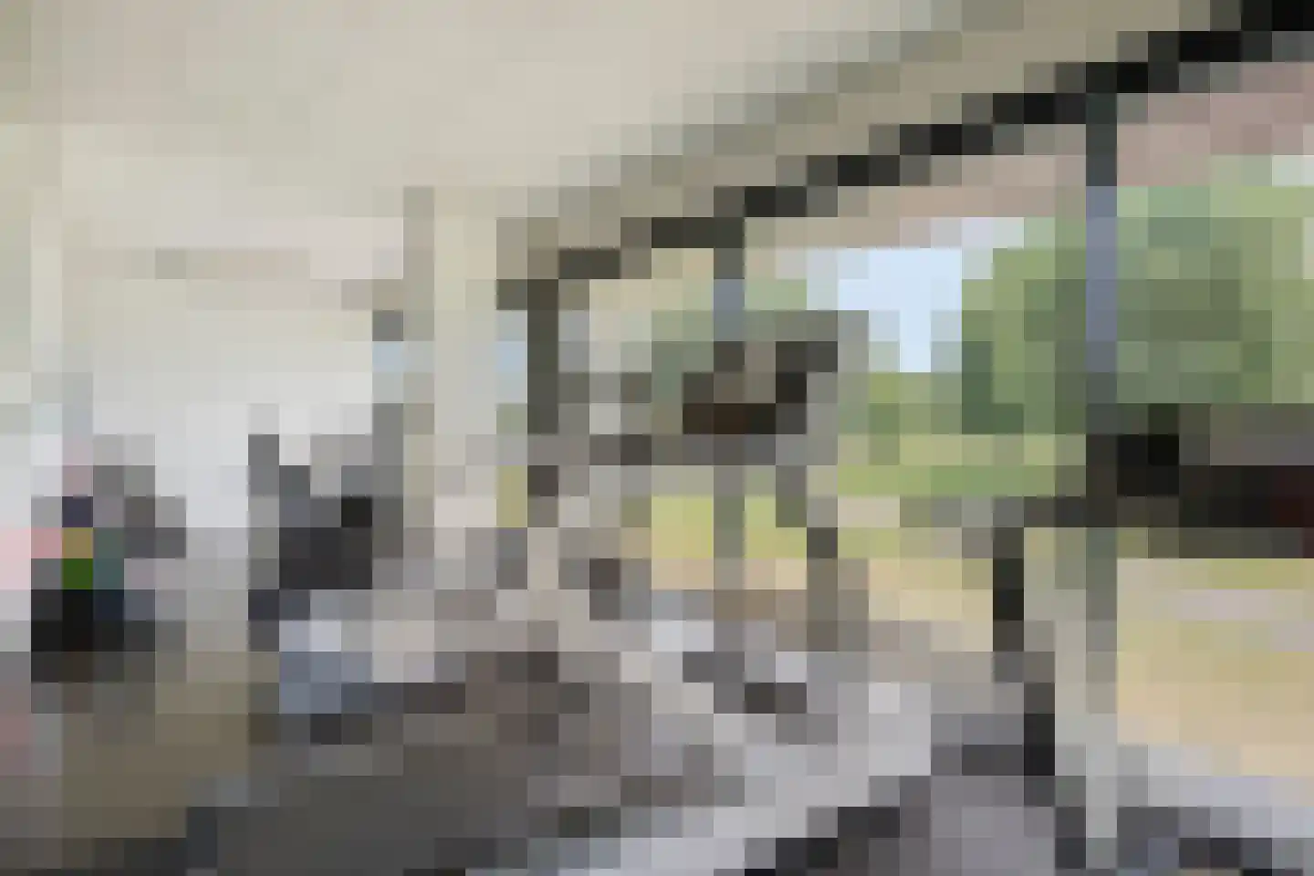 Ien Daleshof 4 Rotterdam thumbnail 44