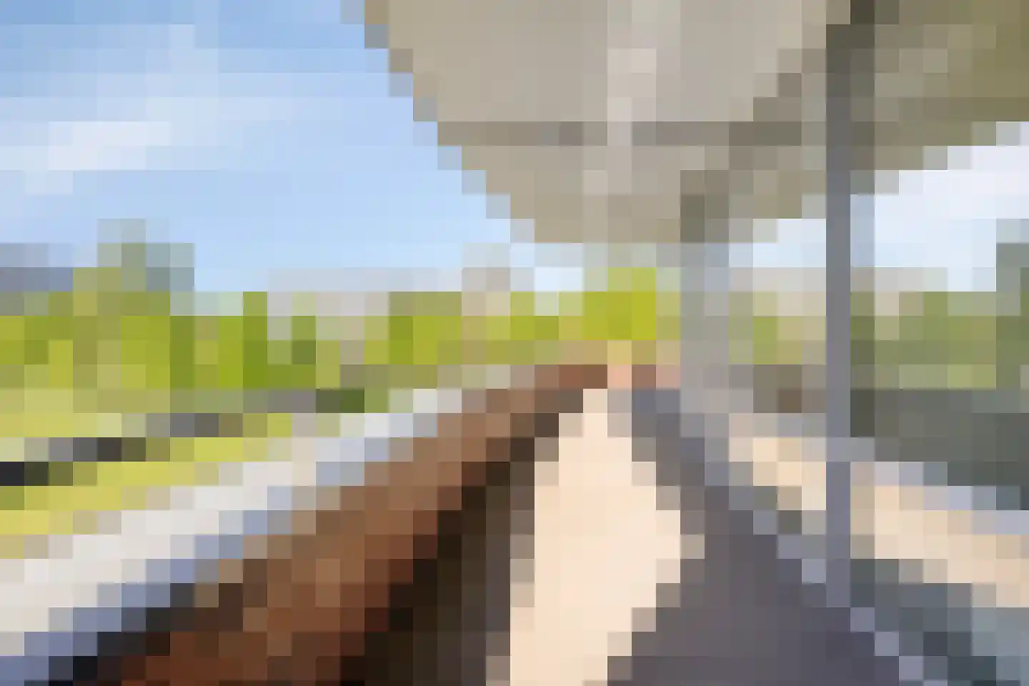 Ien Daleshof 4 Rotterdam thumbnail 5