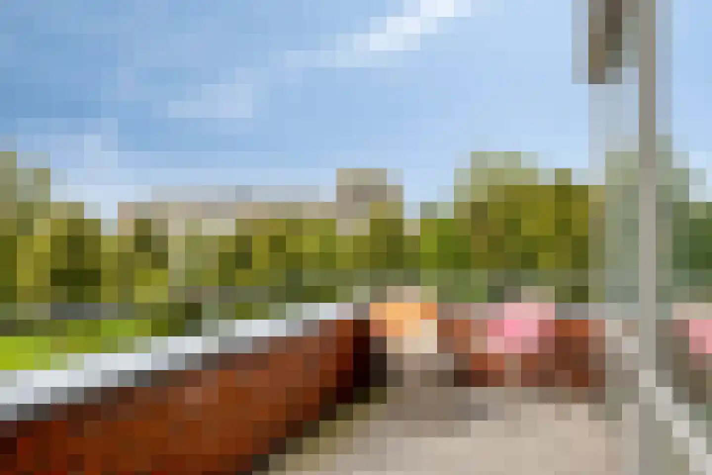 Ien Daleshof 4 Rotterdam thumbnail 6