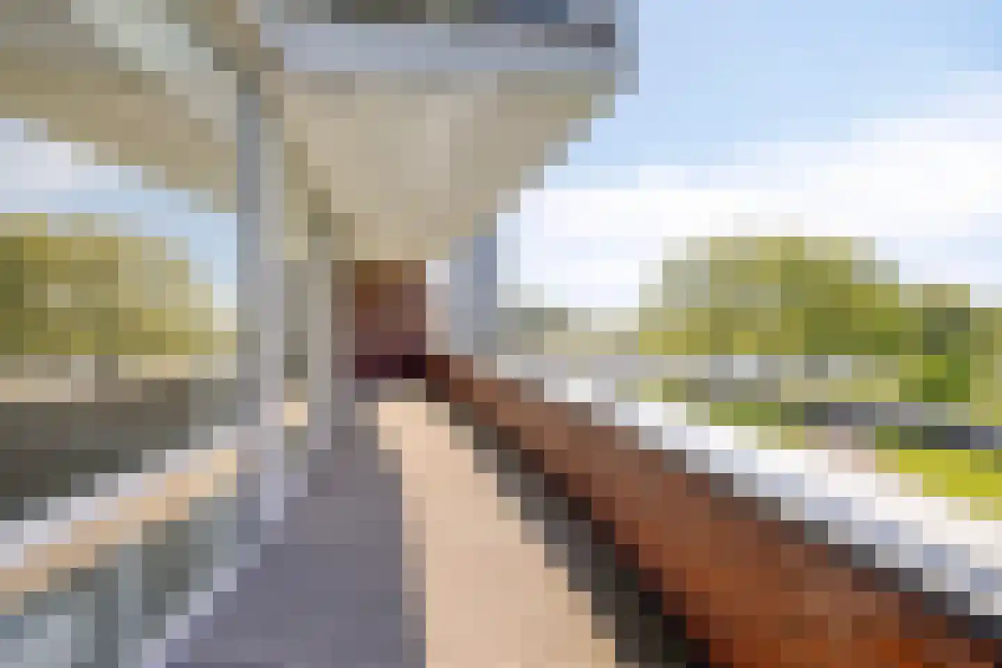 Ien Daleshof 4 Rotterdam thumbnail 6