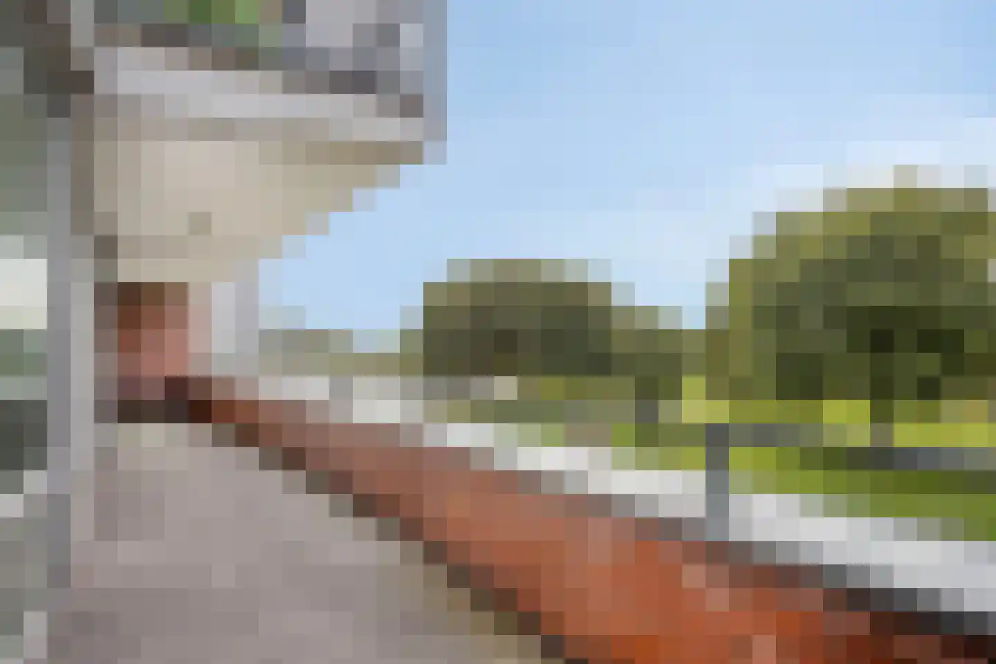 Ien Daleshof 4 Rotterdam thumbnail 7
