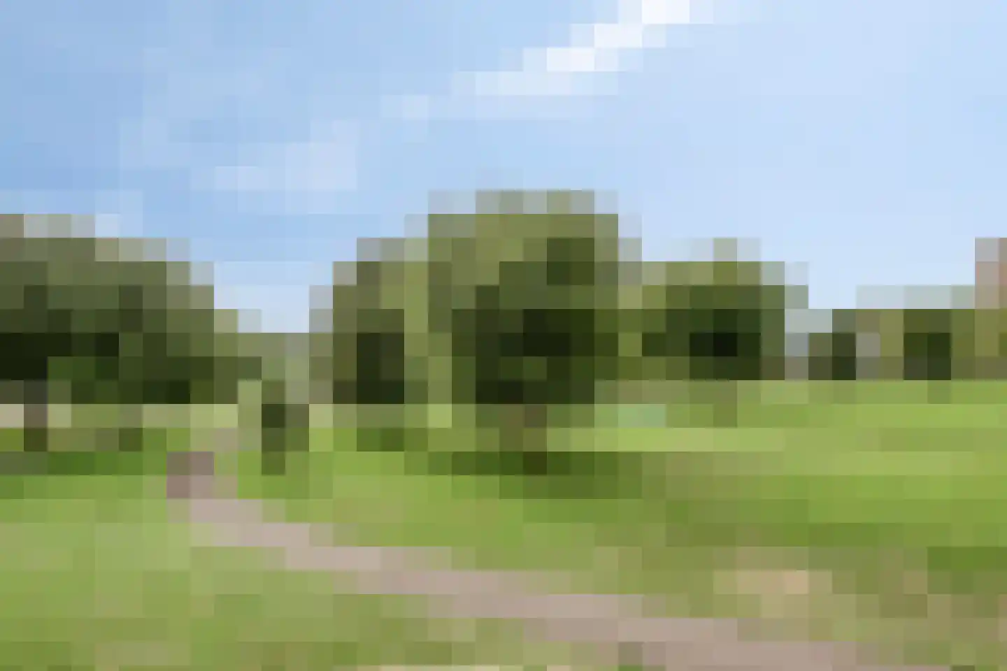 Ien Daleshof 4 Rotterdam thumbnail 9