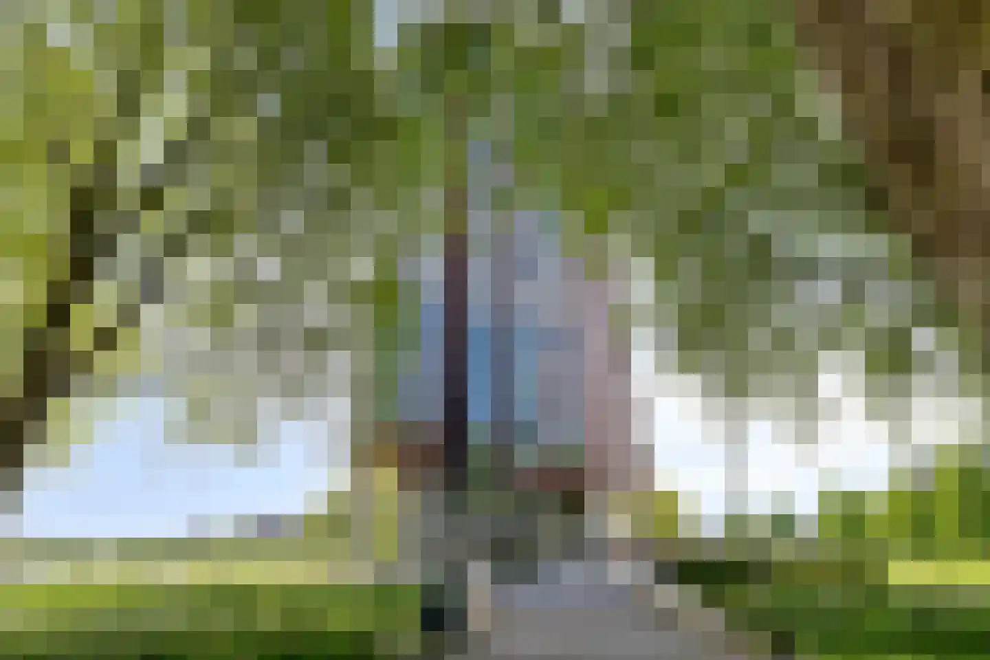 Ien Daleshof 6 Rotterdam thumbnail 32