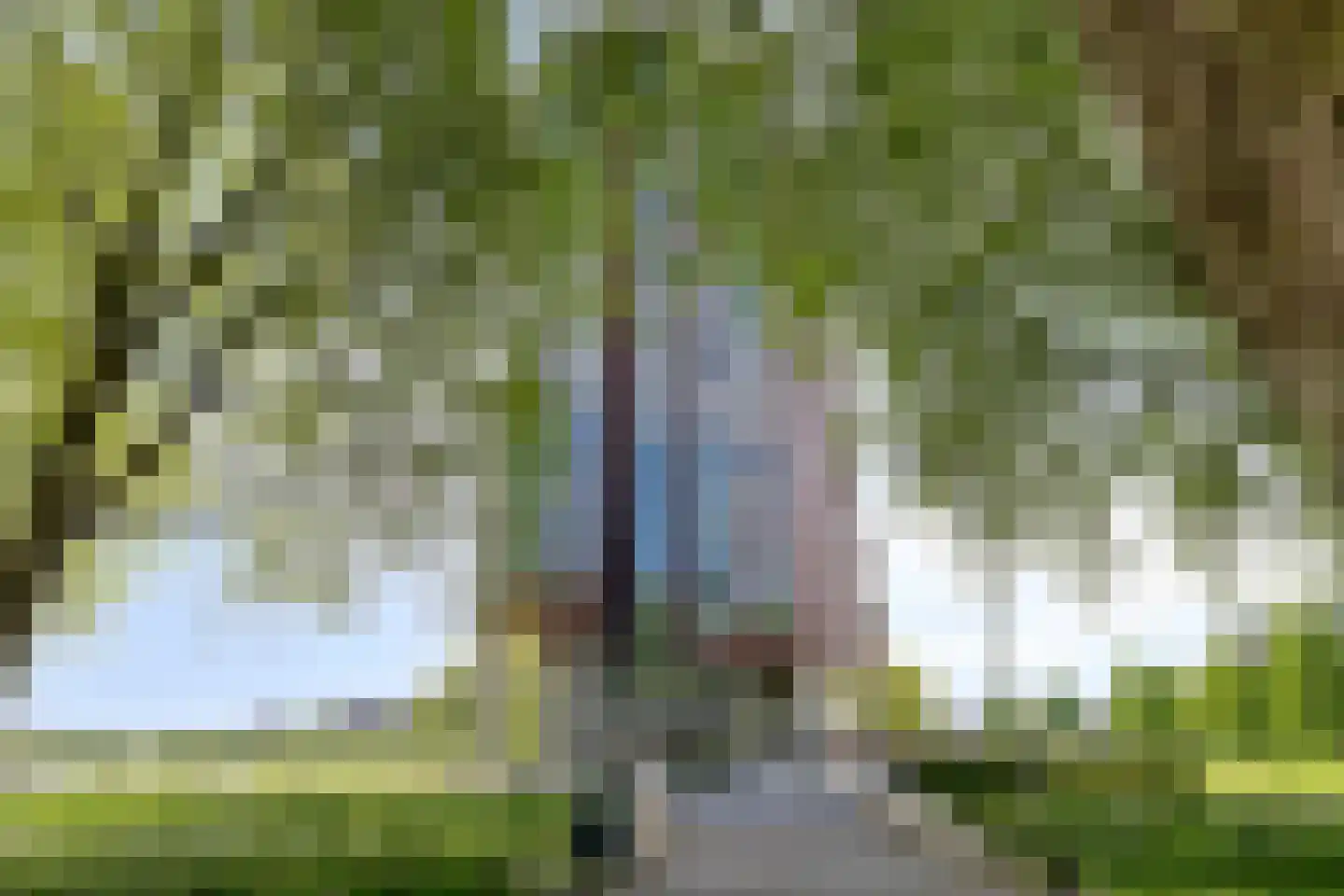 Ien Daleshof 6 Rotterdam thumbnail 33