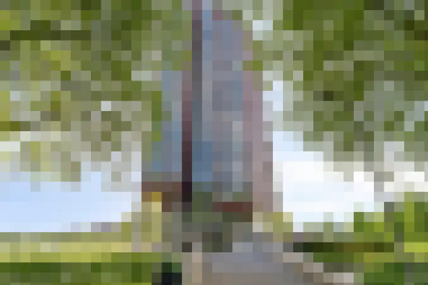 Ien Daleshof 6 Rotterdam thumbnail 34