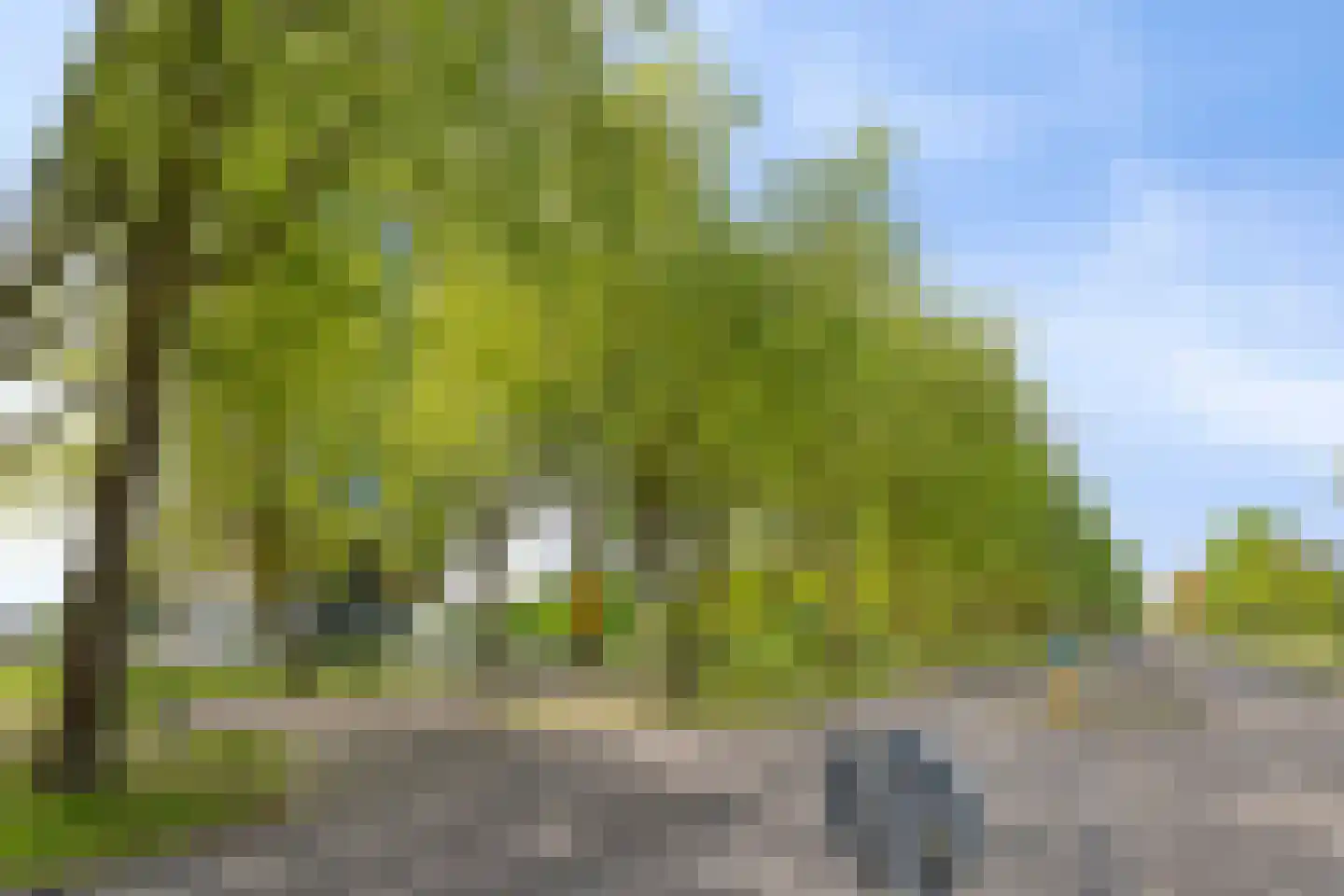Ien Daleshof 6 Rotterdam thumbnail 35