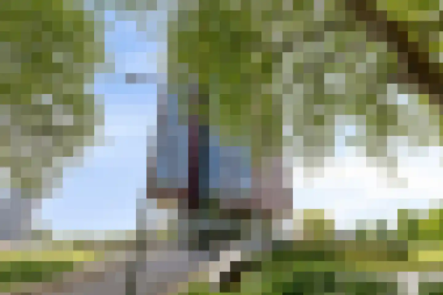 Ien Daleshof 6 Rotterdam thumbnail 36