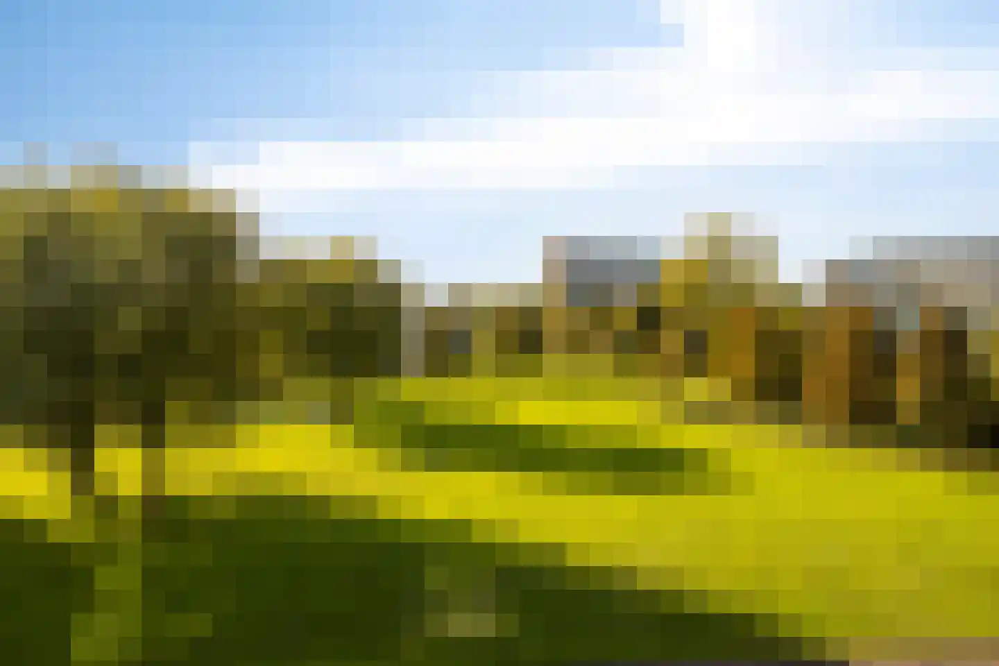 Ien Daleshof 7 Rotterdam thumbnail 8
