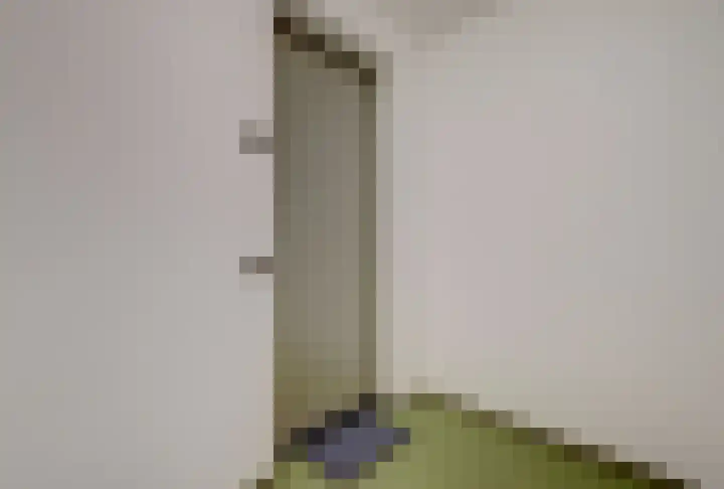 Ien Daleslaan 14 Woerden thumbnail 12