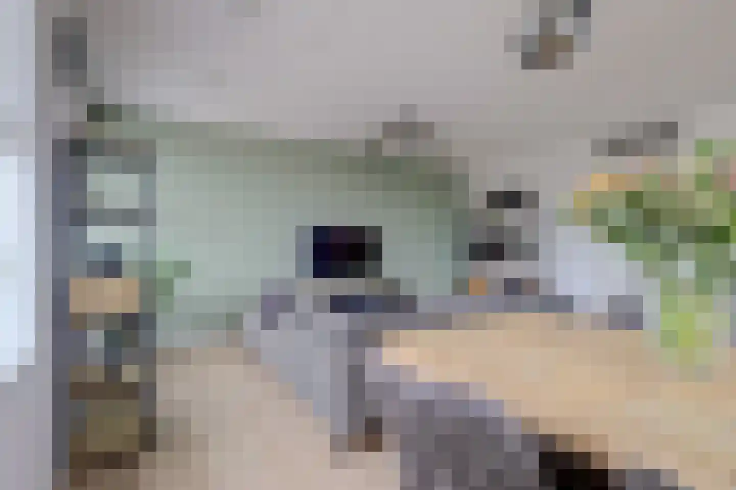 Ien Daleslaan 14 Woerden thumbnail 18