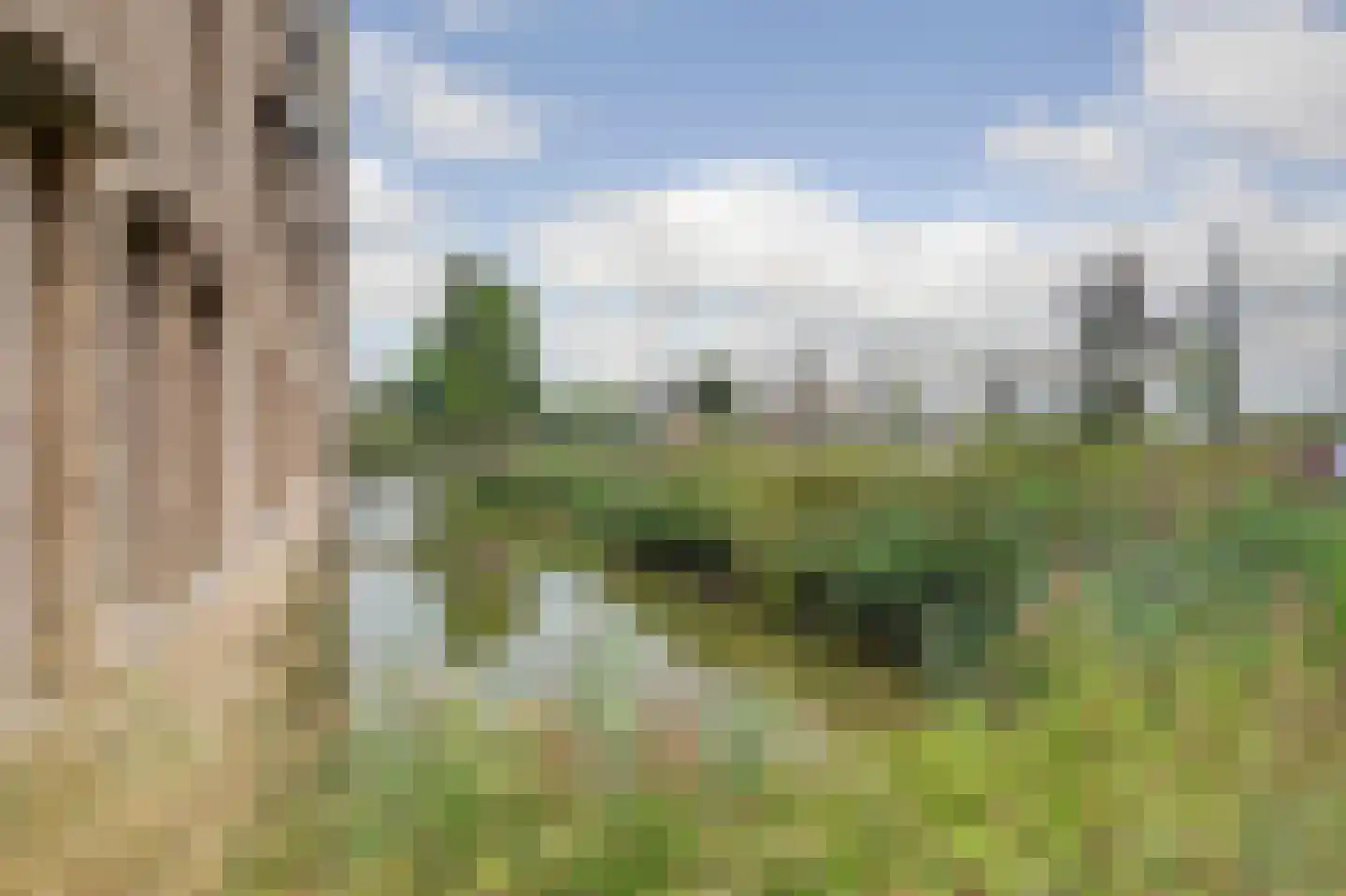 Ien Daleslaan 14 Woerden thumbnail 45