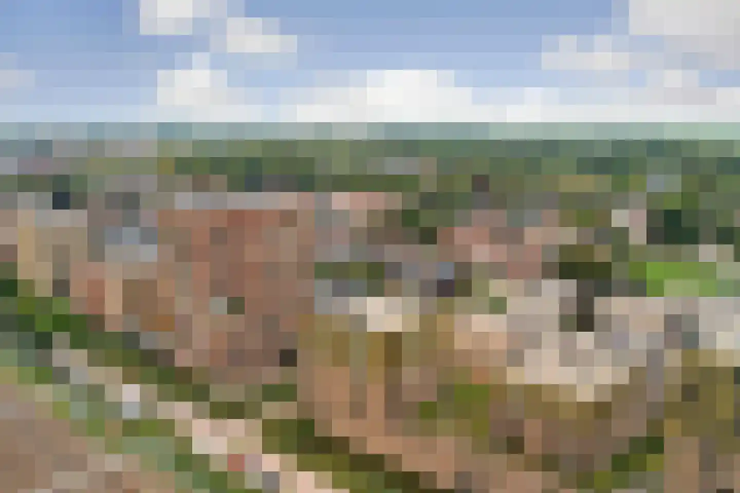 Ien Daleslaan 14 Woerden thumbnail 53
