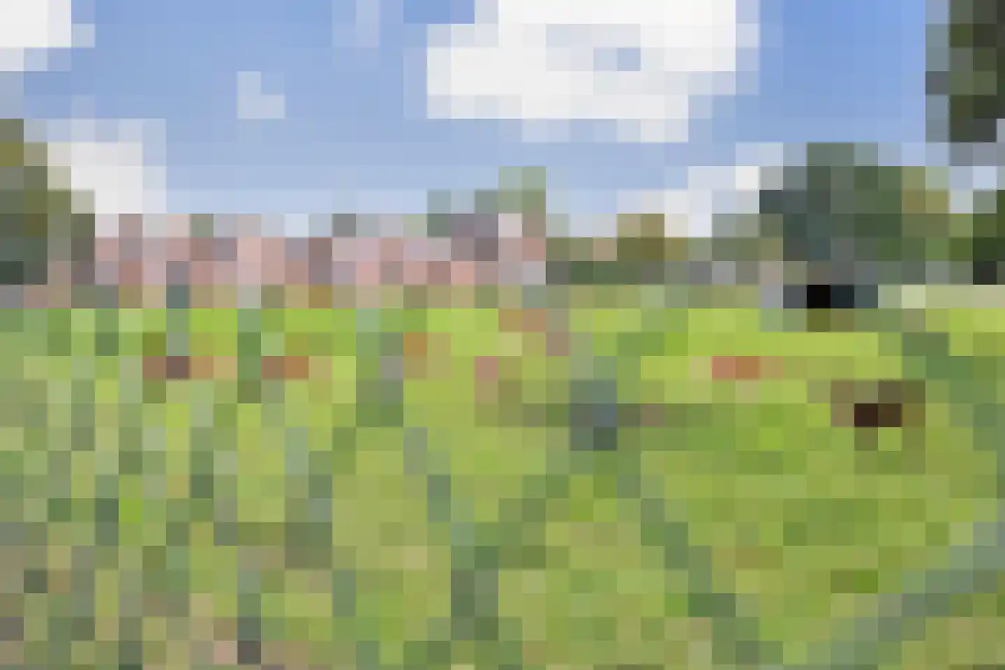 Ien Daleslaan 14 Woerden thumbnail 55