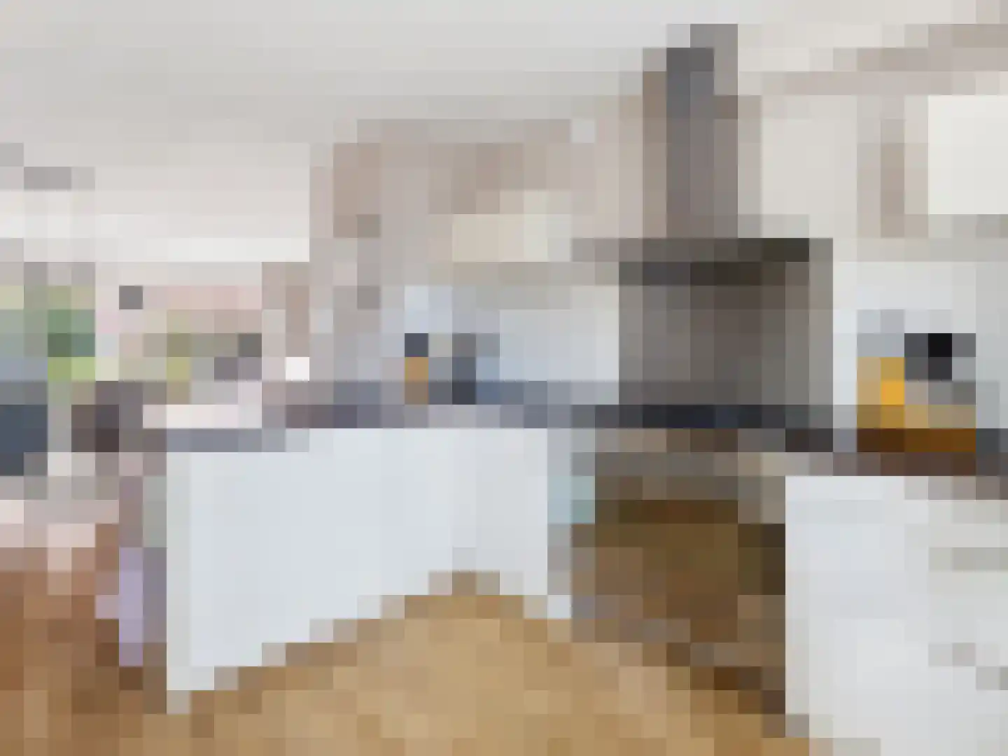 Ien Dalessingel 11 Zutphen thumbnail 12