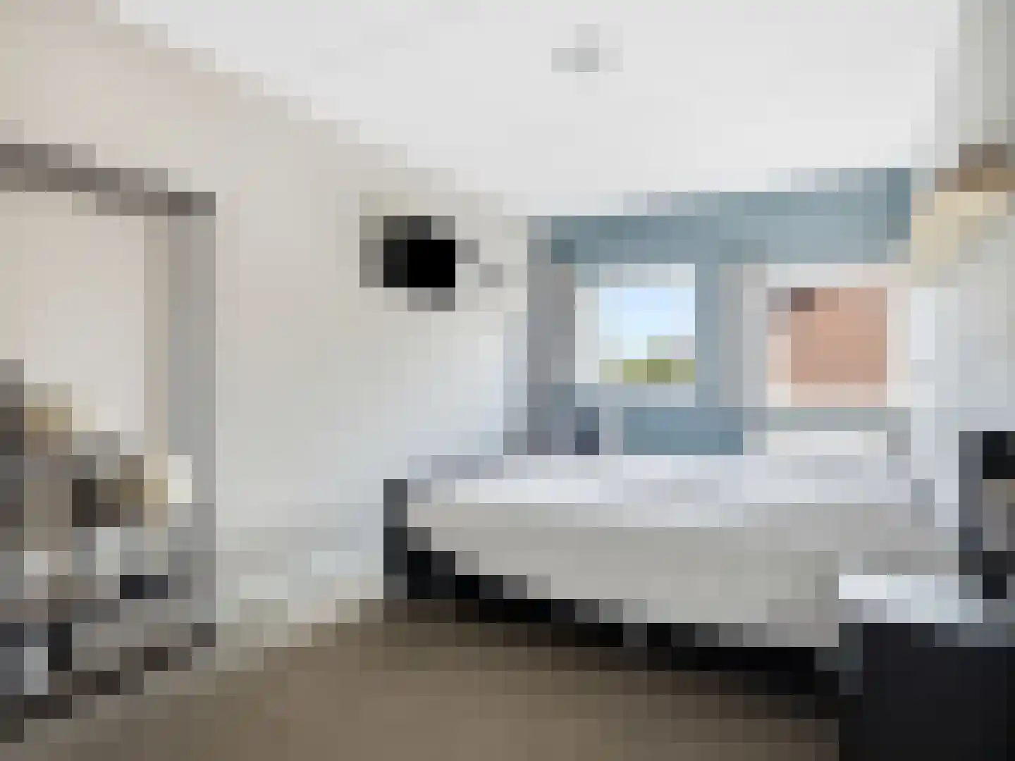 Ien Dalessingel 11 Zutphen thumbnail 16