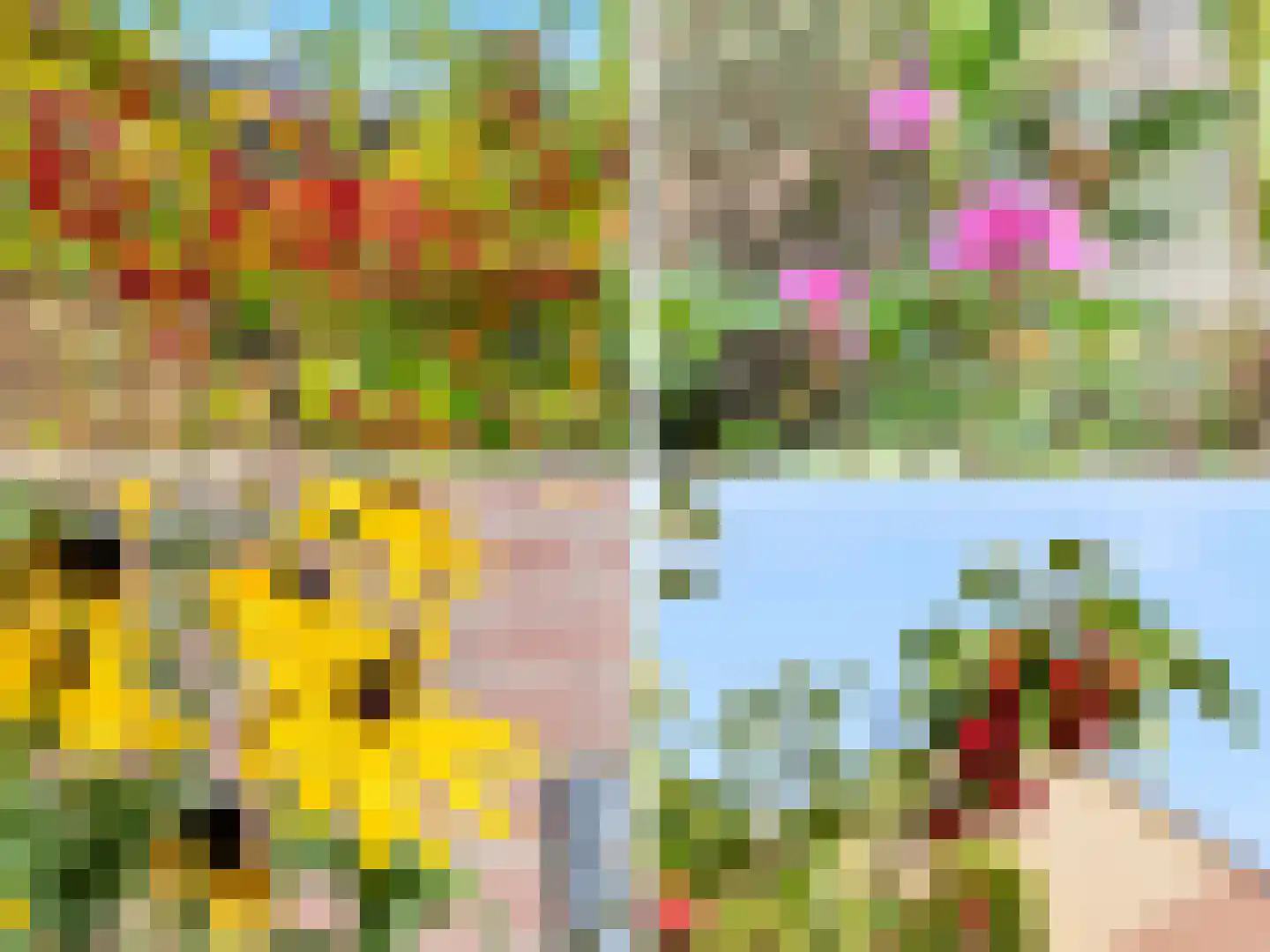 Ien Dalessingel 11 Zutphen thumbnail 23