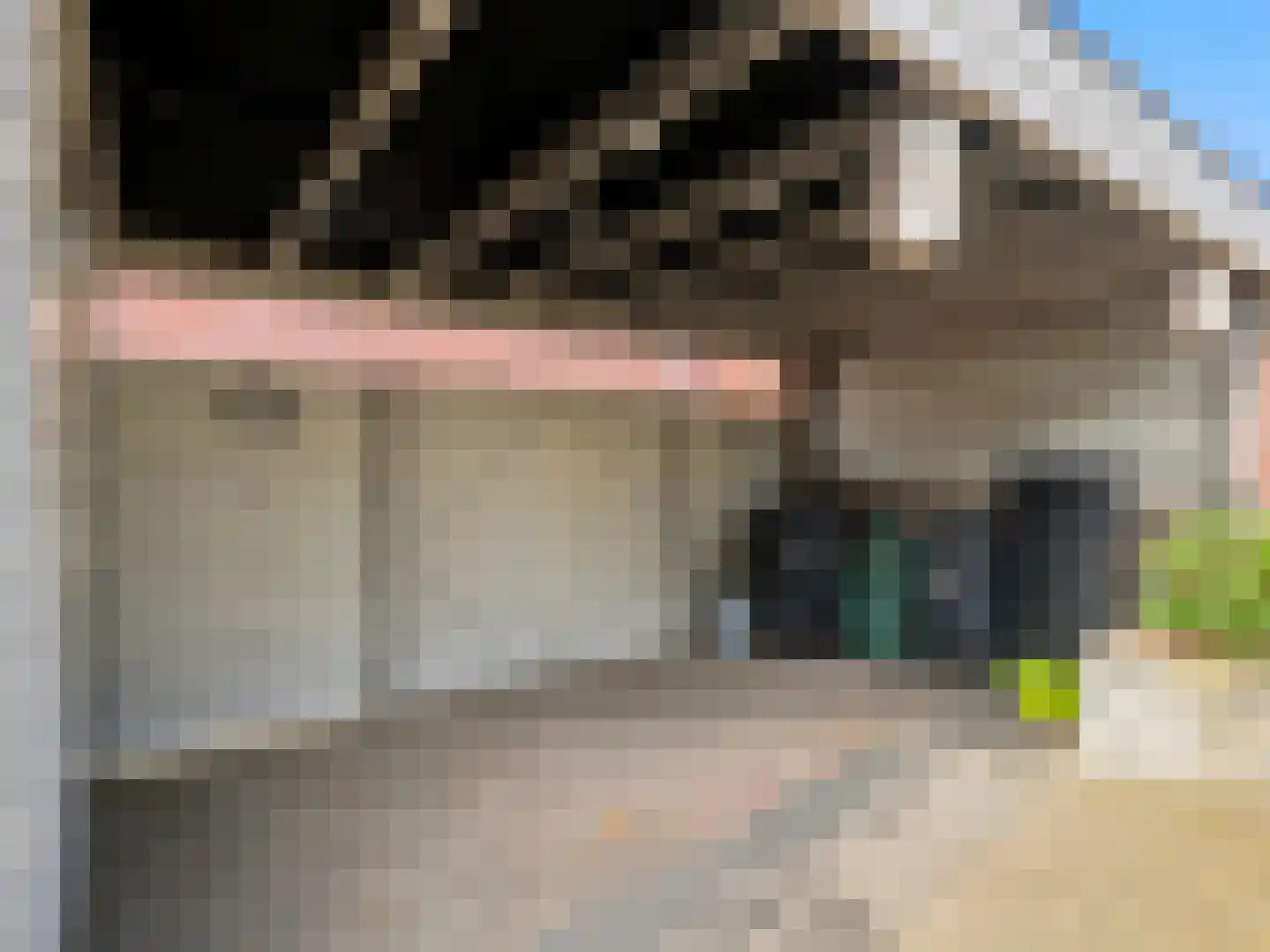 Ien Dalessingel 11 Zutphen thumbnail 27