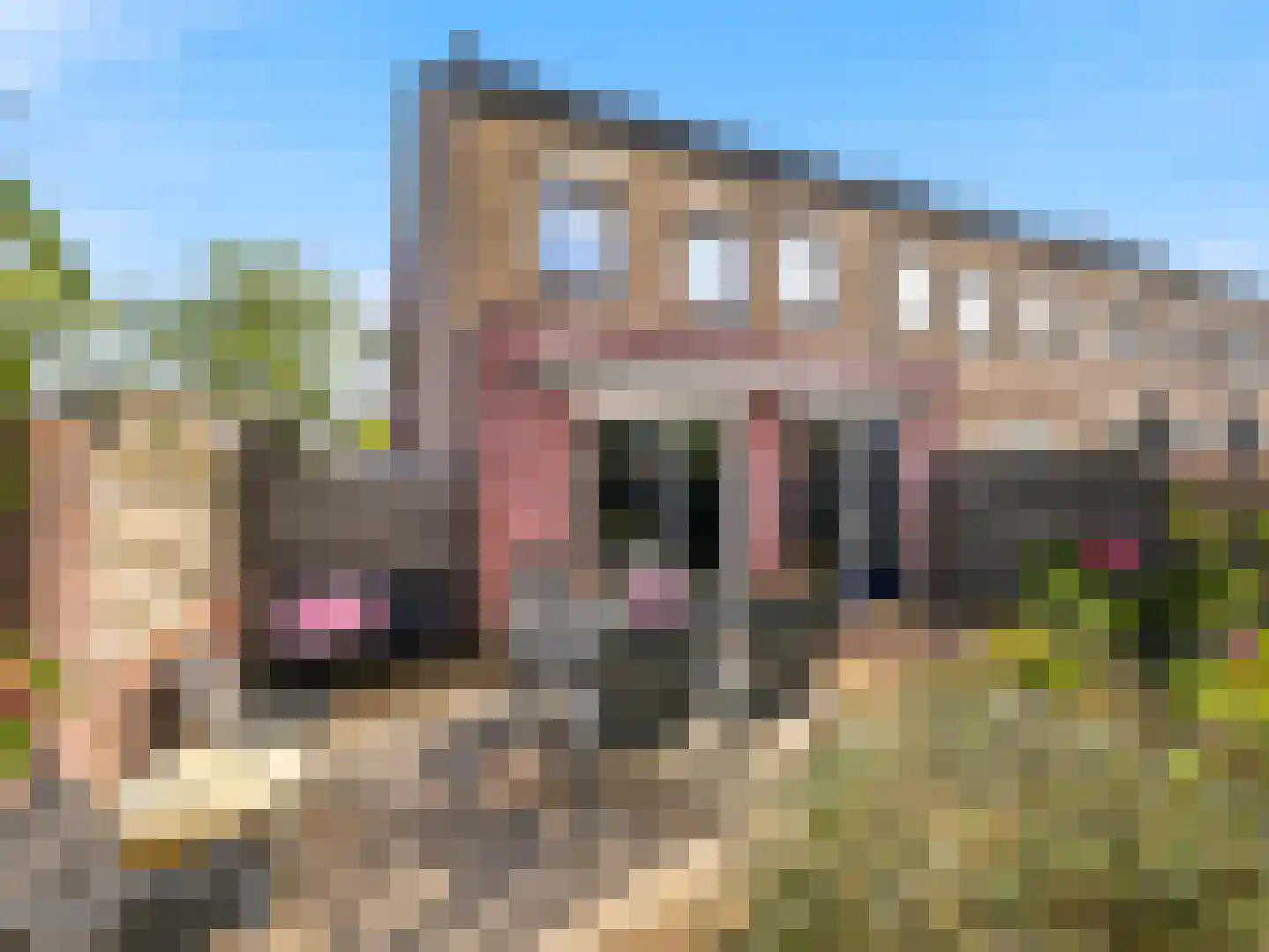 Ien Dalessingel 11 Zutphen thumbnail 28