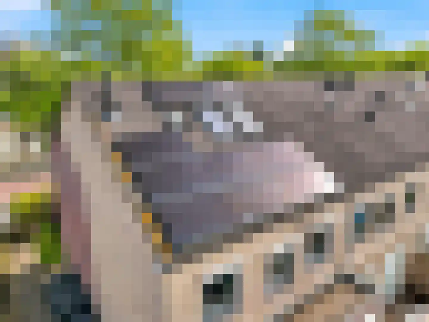 Ien Dalessingel 11 Zutphen thumbnail 30