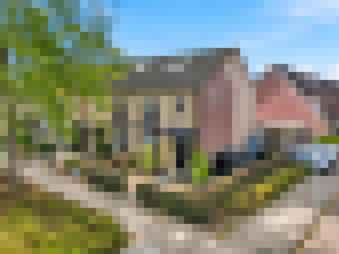 Ien Dalessingel 11 Zutphen thumbnail 33