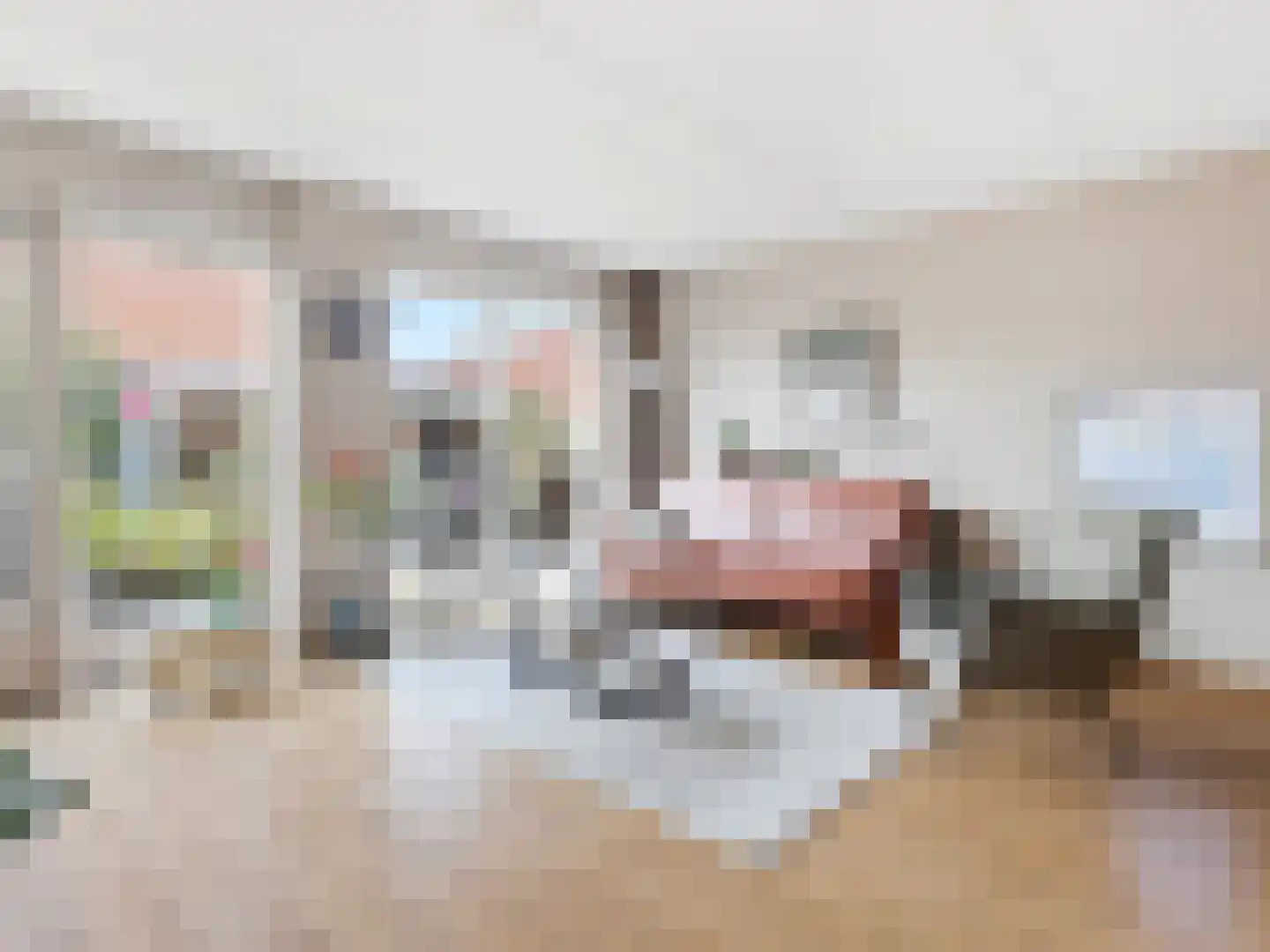 Ien Dalessingel 11 Zutphen thumbnail 4