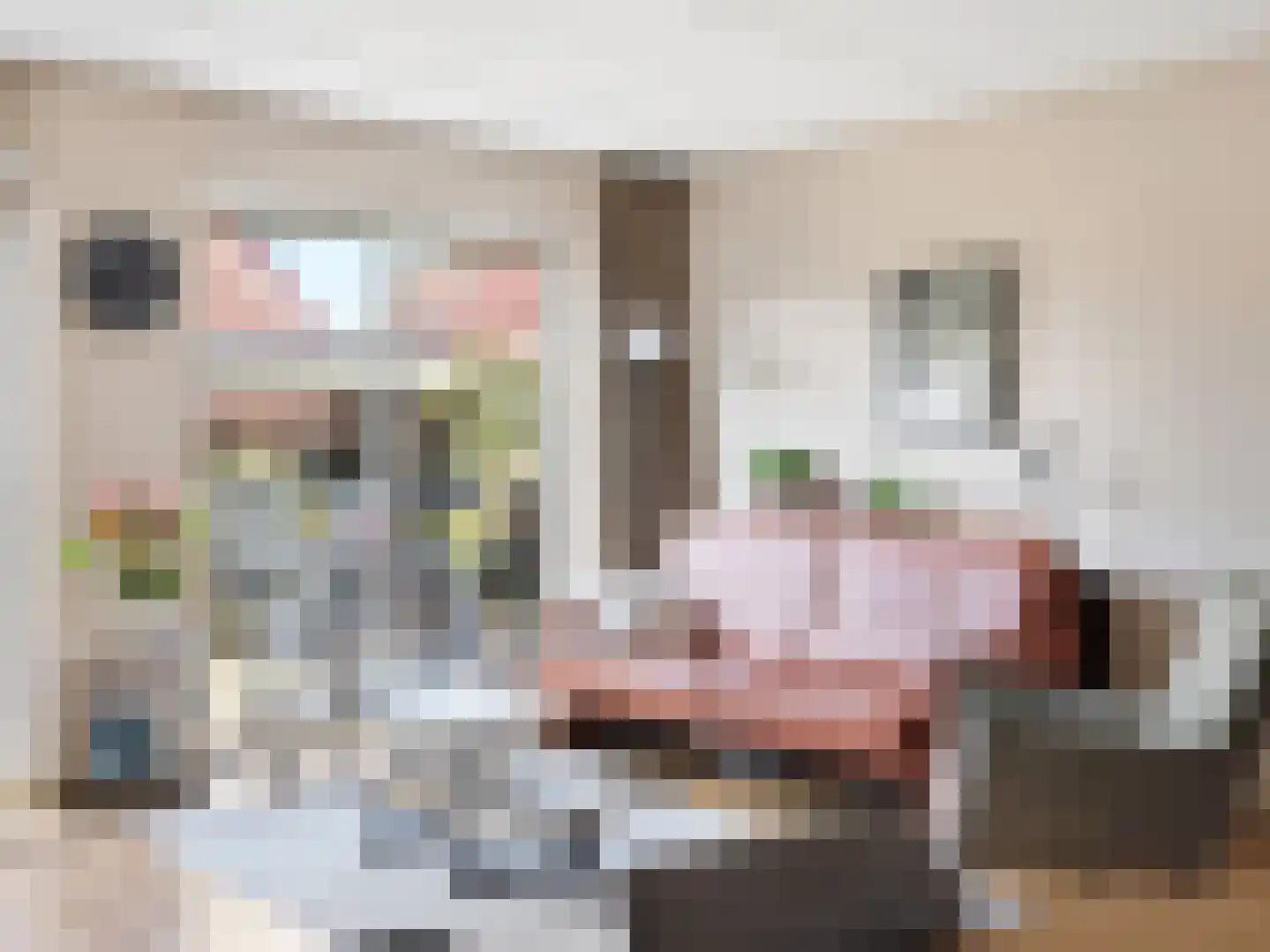 Ien Dalessingel 11 Zutphen thumbnail 5