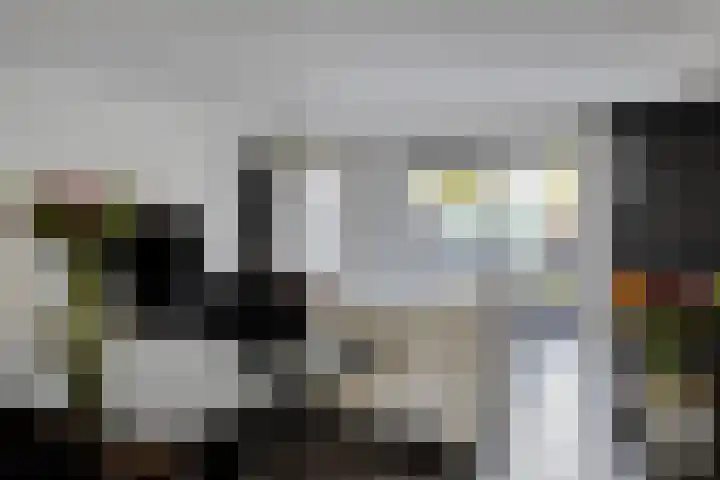 Ien Dalessingel 119 Zutphen thumbnail 10