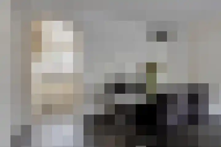Ien Dalessingel 119 Zutphen thumbnail 11