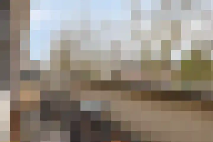 Ien Dalessingel 119 Zutphen thumbnail 30