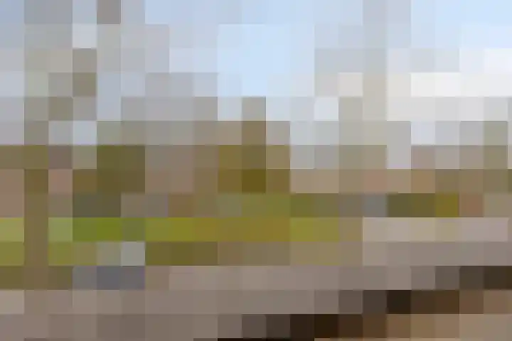 Ien Dalessingel 119 Zutphen thumbnail 31