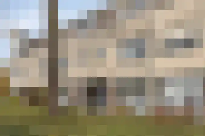 Ien Dalessingel 119 Zutphen thumbnail 34