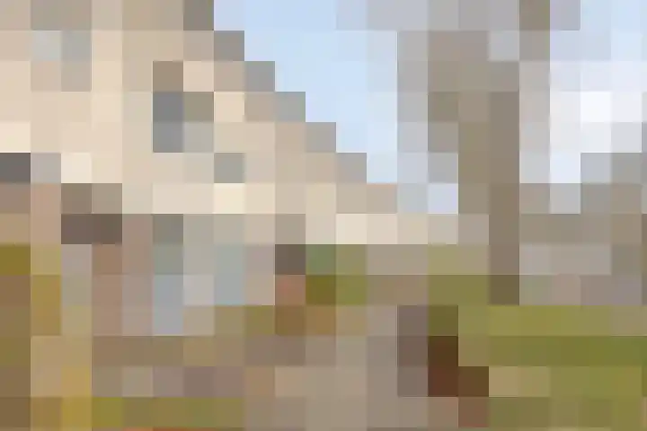 Ien Dalessingel 119 Zutphen thumbnail 35