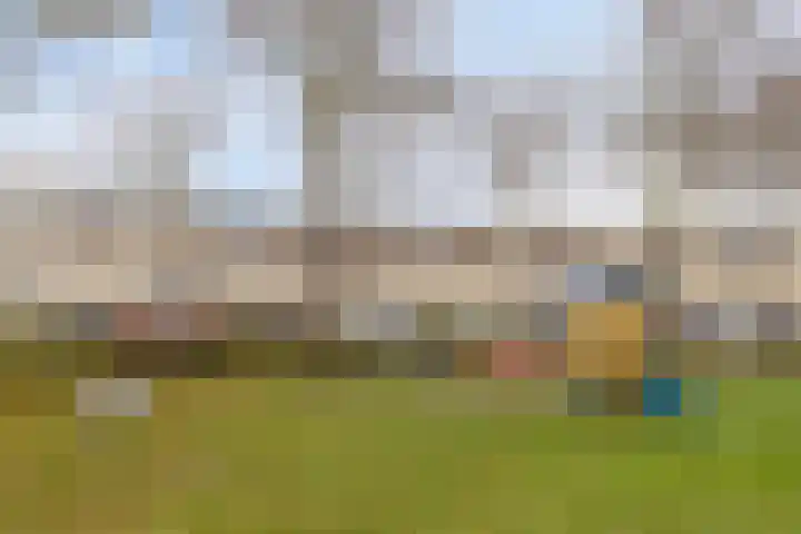 Ien Dalessingel 119 Zutphen thumbnail 37