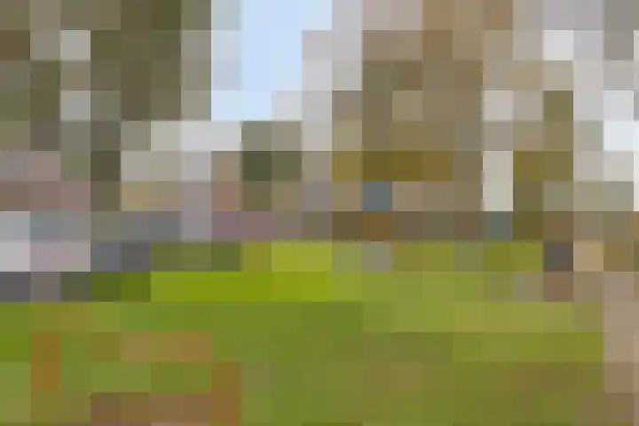 Ien Dalessingel 119 Zutphen thumbnail 38