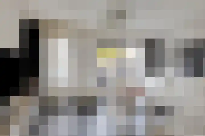 Ien Dalessingel 119 Zutphen thumbnail 4