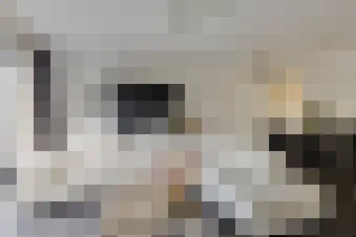 Ien Dalessingel 119 Zutphen thumbnail 6